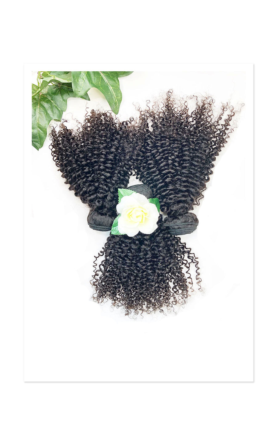 3 Bundle Special Afro Curl + Closure